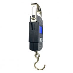 Cân treo WH-A08 50kg 1