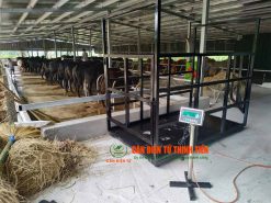 can-bo-dien-tu-500kg