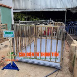 can-heo-dien-tu-1-tan