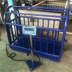 Cân Heo Điện Tử 500kg