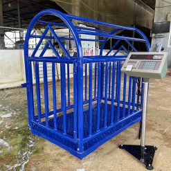 Cân heo điện tử in phiếu cân