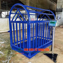 Cân Heo Điện Tử 300kg