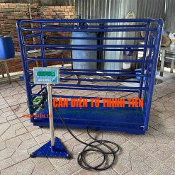 Cân Heo Điện Tử 300kg