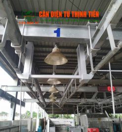 Cân heo mảnh điện tử 100kg