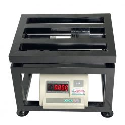 Cân Điện Tử ghế ngồi A12E 500kg