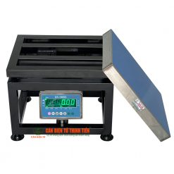 Cân Điện Tử ghế ngồi DS 166SS 500kg